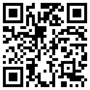 扫码下载专业模拟飞行11