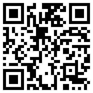 扫码下载简单飞机汉化内置功能菜单版