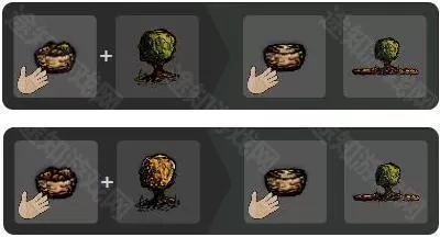 希望之村安装包