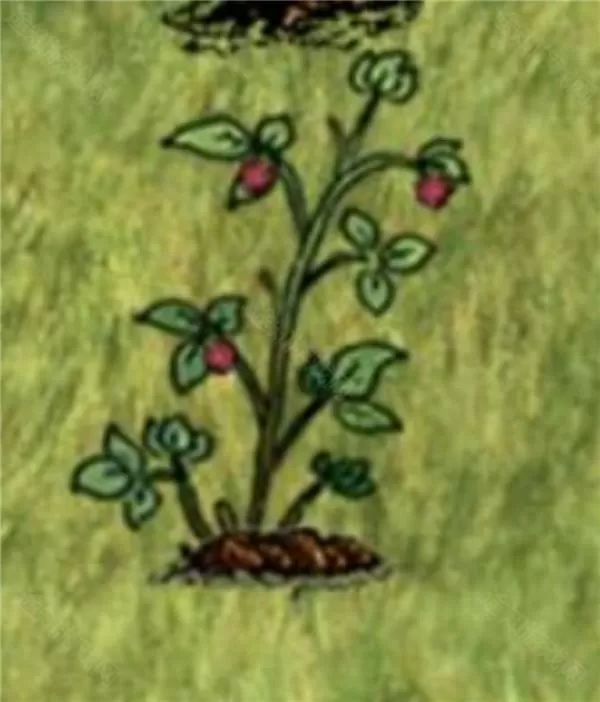 希望之村安装包