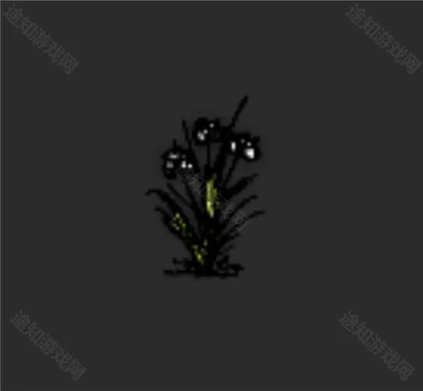 希望之村安装包