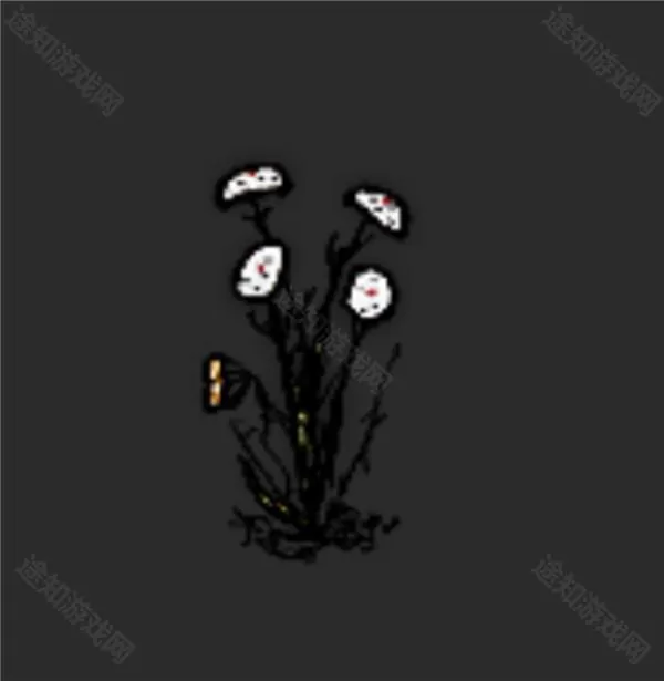 希望之村安装包