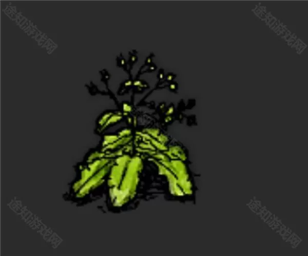 希望之村安装包