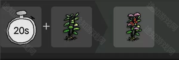 希望之村安装包