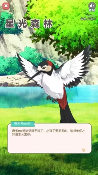 星光森林 星光森林